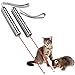 YSAGi Funny Pet Cat Catch Interactive Light Toy, 2 in 1 Chaser Toy with Laser Dot and Flashlight to Scratching Training Tool for Cat or Dog (2 Pack)