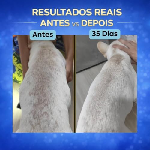 Suplemento Cachorro Forte Pelo & Derme 250g | Pele Saudável e Pelagem Forte | Auxilia na Queda de Pelos e Coceiras | Biotina, Zinco e Ômega 3 | VeterinUp
