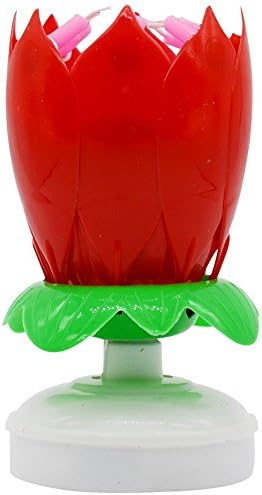 Li hong Fashion Happy Birthday Candle Cake Candle (Red)