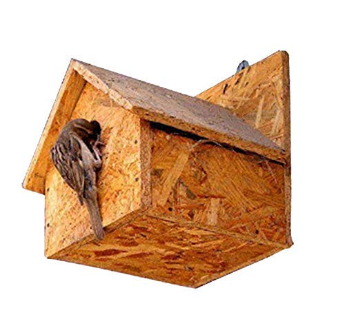 Amijivdaya Wooden Bird House Water Resistance