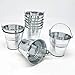 GIFTEXPRESS 48 Pack Mini Metal Buckets with Handles, Small Galvanized Tin Pails for Party Favor, Succulent, Wedding