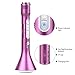 1byone Wireless Microphone Speaker for Karaoke with Bluetooth, TF / Micro SD Card Support, LED Lights, Echo Voice Effects, and Integrated Battery - Pink