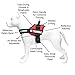 Service Dog in Training Vest with Reflective Strap & Removable Patches - Heavy Duty Nylon Straps and Handle for Dogs - 7 Sizes, ID Patch Options, Service Dog Vest Harness with IT tag (Red, Medium)