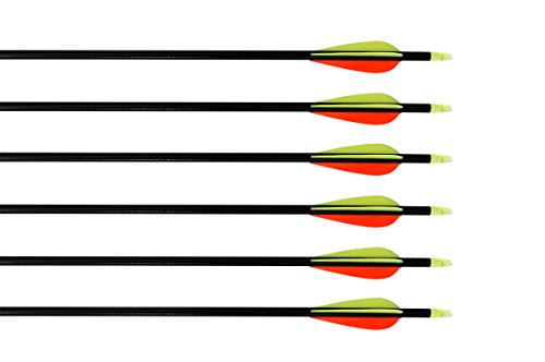Huntingdoor Nock and Fletched Fiberglass Arrows with Screw-in Field Point for Recurve Bow or Compound Bow