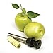 Norpro Stainless Steel Apple Corer with Plunger, 10 IN, Silver
