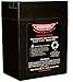 Parmak 901 6-Volt Gel Cell Battery for Solar Powered Electric Fences