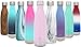 Simple Modern Stainless Steel Vacuum Insulated Double-Walled Wave Bottle, 17oz - Blush, WV-17-BR