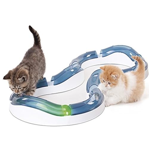 buy cool items from amazon related to Pet Supplies get list of amazon products that are Toys, under $20, under $25