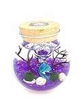 OMEM Aquarium Kits-Living Moss Ball,Valentine Gift Sea Fan, Gravel, Cone Seashell, Work Desk Decoration (Purple)