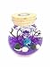 OMEM Aquarium Kits-Living Moss Ball,Valentine Gift Sea Fan, Gravel, Cone Seashell, Work Desk Decoration (Purple)