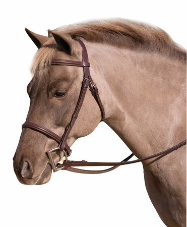 HDR Club Fancy Raised Snaffle Bridle Horse Oakbark