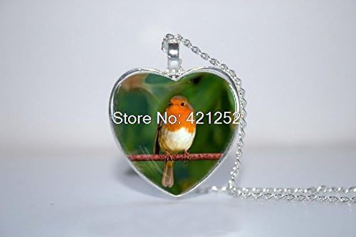 Pretty Lee 2015 Fashion Robin Pendant Robin Necklace Robin Jewelry Robin Heart Necklace Glass Photo Cabochon Necklace Christmas gift