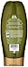 Garnier Whole Blends Replenishing Conditioner Legendary Olive, Dry Hair, 22 fl. oz.