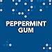 ORBIT Peppermint Sugarfree Chewing Gum Bulk, 8 Packs of 14-Pieces, Case of 6 (672 Total Pieces)