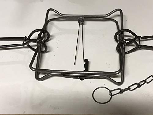 FPS 330 Animal Body Traps/Beaver/Otter/Raccoon/Coyote/Fox Trap (2) Trap Size 10" X 10"