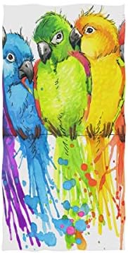 Cooper girl Watercolor Parrots Hand Towel Cotton Bathroom Towel for Hand Face Gym Spa