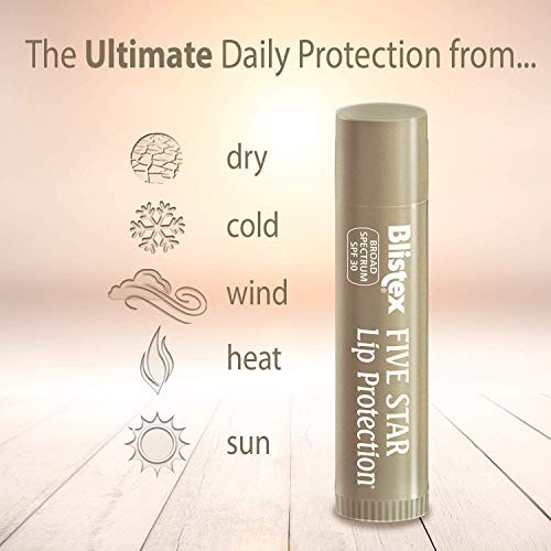 Blistex Five Star Lip Protection Lip Balm, 0.15 Ounce Wind & Water