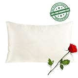 SilkSlip 100% Pure Mulberry Silk Pillowcase with Cotton Underside and Hidden Zipper for Hair and Skin, 19 Momme 400 Thread Count Hypoallergenic, Queen(20x30 Inch), Ivory