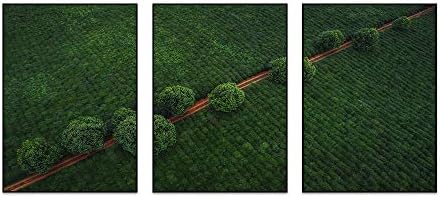 35 50センチメートル 3 黒 アルミ合金フレーム装飾画 アウトレットセール 特集 緑の野原 パス 木 トップビュー アートパネル 玄関 壁掛け 絵画 現代 客間レストラン インテリアアート 壁飾り 壁ポスター 壁掛け絵画 壁画の壁面装飾 部屋飾り