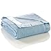 Elegant Baby Ultra Plush Blanket, Satin Border Blanket 30 x 40 Inch in Baby Blue,89110