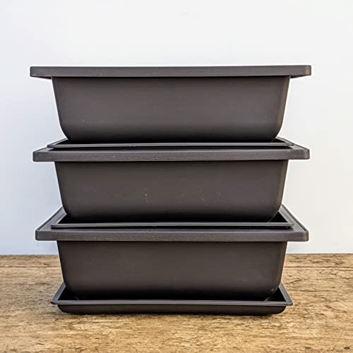 Bonsai Outlet Training Pots with Humidity Trays Built in Mesh, Brown