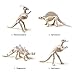 Mini Dino DIG! dig Dinosaur Fossil Toys & Assembly Kit Toys, 4 Styles. Dinosaur Skeleton dig kit