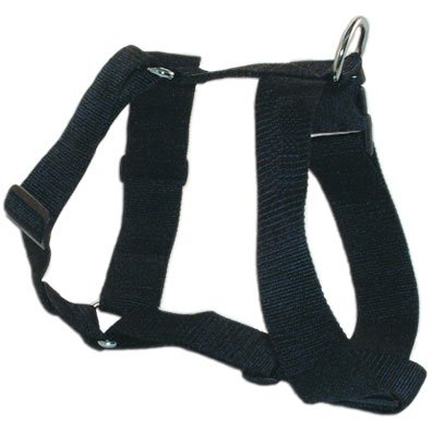 2 inch Wide Polyweb Harness Black