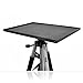 Pyle Video Projector Mount Stand, Adjustable Height 20.5in-59in, Rotating Stand, Tripod Legs, Anti Slip Rubber, Easy Assemble, Includes Plate and Travel Bag for Home, Office or Classroom (PRJTPS37)