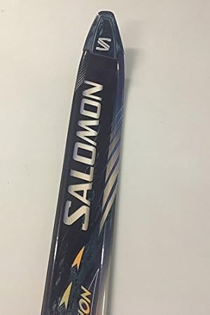 salomon evolution skis