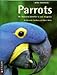 Parrots (Identifiers) by