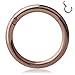 Ruifan 1PC Stainless Steel Hinged Seamless Segment Hoop Septum Clicker Ring Lip Helix Tragus Cartilage Earrings Nose Rings Pirecing 14g 10mm Rose Gold