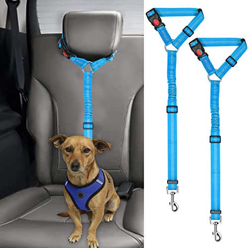Car Amazon Dog Seat Belts Dog Car Safety Products: Best Carriers