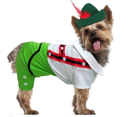 Alpine Boy Dog Costume Size 4 fits 12.5" Back Length