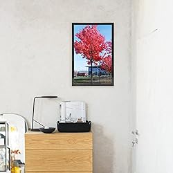 Medog 11x17 9x15 Picture Frame Black Poster Frame
