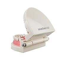 Melleco Dental Dentist Adult Standard Typodont Demonstration Teeth Teaching Model