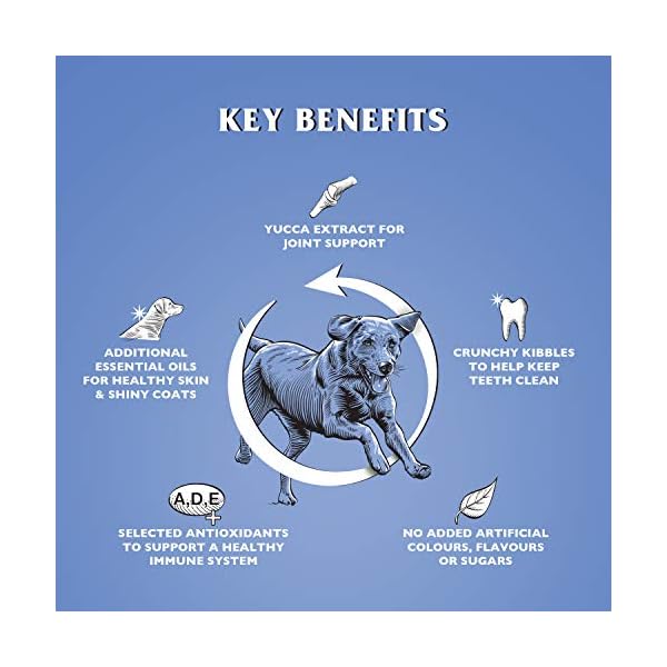 Dr John Silver Dry Dog Food 15kg - Chicken with Vegetables - Complete Dog Biscuits 15kg - Senior and Adult Dog Food for…