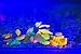 Glow in The Dark Rocks Sea Shells Starfish Pebbles Stones,90pcs Colorful Glow in The Dark Pebble Glowing Conch Shell for Outdoor, Walkway, Window, Yard Grass, and Fish Tank Decoration