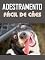 Livro Adestramento Fácil de Cães