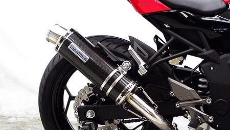 Amazon Ninja250sl ニンジャ250sl スリップオンマフラー スポーツタイプ ブラックカーボン仕様 ウイルズウィン Wiruswin スリップオン 車 バイク