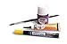 Pebeo Vitrea 160, Workbox Set of 10 Assorted 45 ml Glass Paint Colors + Accessories