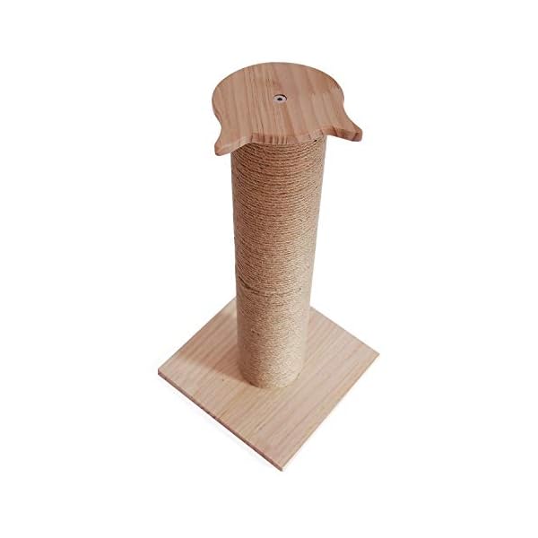 Conysan-Fai-da-Te-Tiragraffi-per-Gatti-Scratching-Cat-Tree-Gatto-Albero-Legno-Naturale-Beige-Facilmente-Montato-Grande-Stile-1 Conysan Fai da Te Tiragraffi per Gatti Scratching Cat Tree Gatto Albero Legno Naturale Beige Facilmente Montato Grande…
