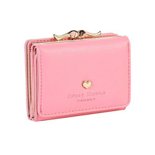 Damara Womens Metal Frame Kiss-lock Small Clutch Cards Holder Wallet,Pink