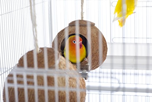 Prevue Pet Products Naturals Double Coconut Walk for Small Animals & Birds 62818