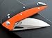 Eafengrow Pocket Knives D2 Blade and G10 Handle,Outdoor Survival and Everyday Carry Knife with Clip (EF42-orange)