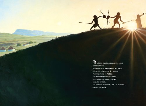 Nelson Mandela (ROMANS GRAPHIQUE STEINKIS EDITIONS) (French Edition)