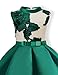 AYOMIS Flower Girl Pageant Dress Kids Party Embroidery Wedding Dresses 2-9 Years(Green 2-3Y)