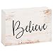 P. Graham Dunn Believe Grey Script White Wash 5 x 3.5 Inch Solid Pine Wood Barnhouse Block Sign
