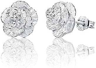 ER-20063C1 Explosion Models Silver Plating Women's Earring