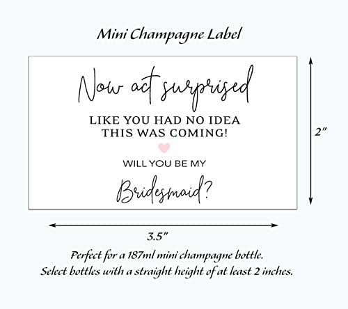 Amazon.com: Bridesmaid Mini Champagne Labels SET of 10 Bridesmaid Proposal, Now Act Surprised ...