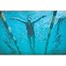 StretchCordz Stationary Swim Trainer, Green